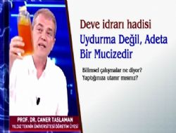 Deve idrar hadisi; Uydurma Deil, Adeta Bir Mucizedir